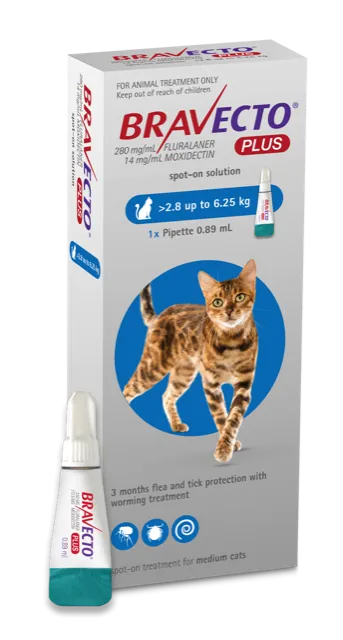 Bravecto Plus Spot On Medium Cats 2.8-6.25KG