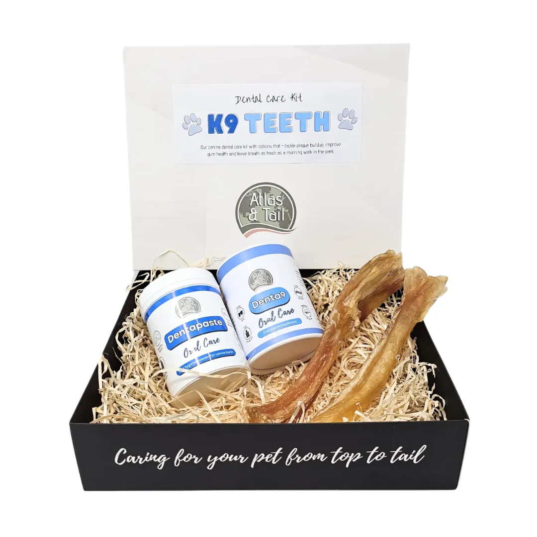 Dental Care Kit