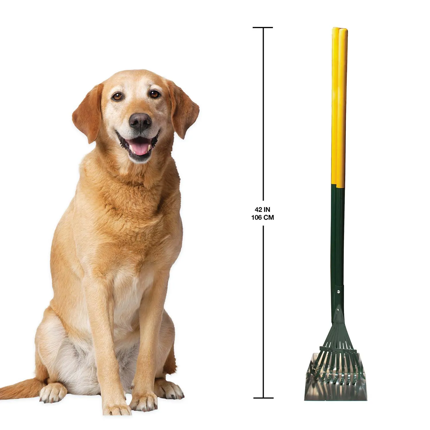 Dog Rake & Scooper Set for Pet Waste Pick-up