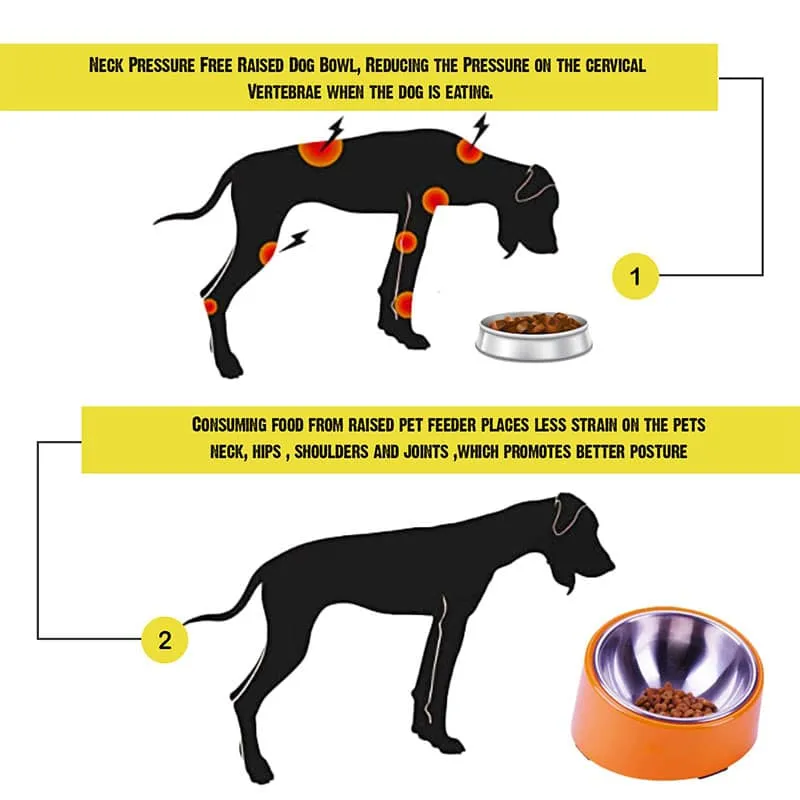 Goofy Tails Slanted Bowl for Dogs Stainless Steel and Melamine Dog Bowl with Rubber Antiskid Base (Orange)