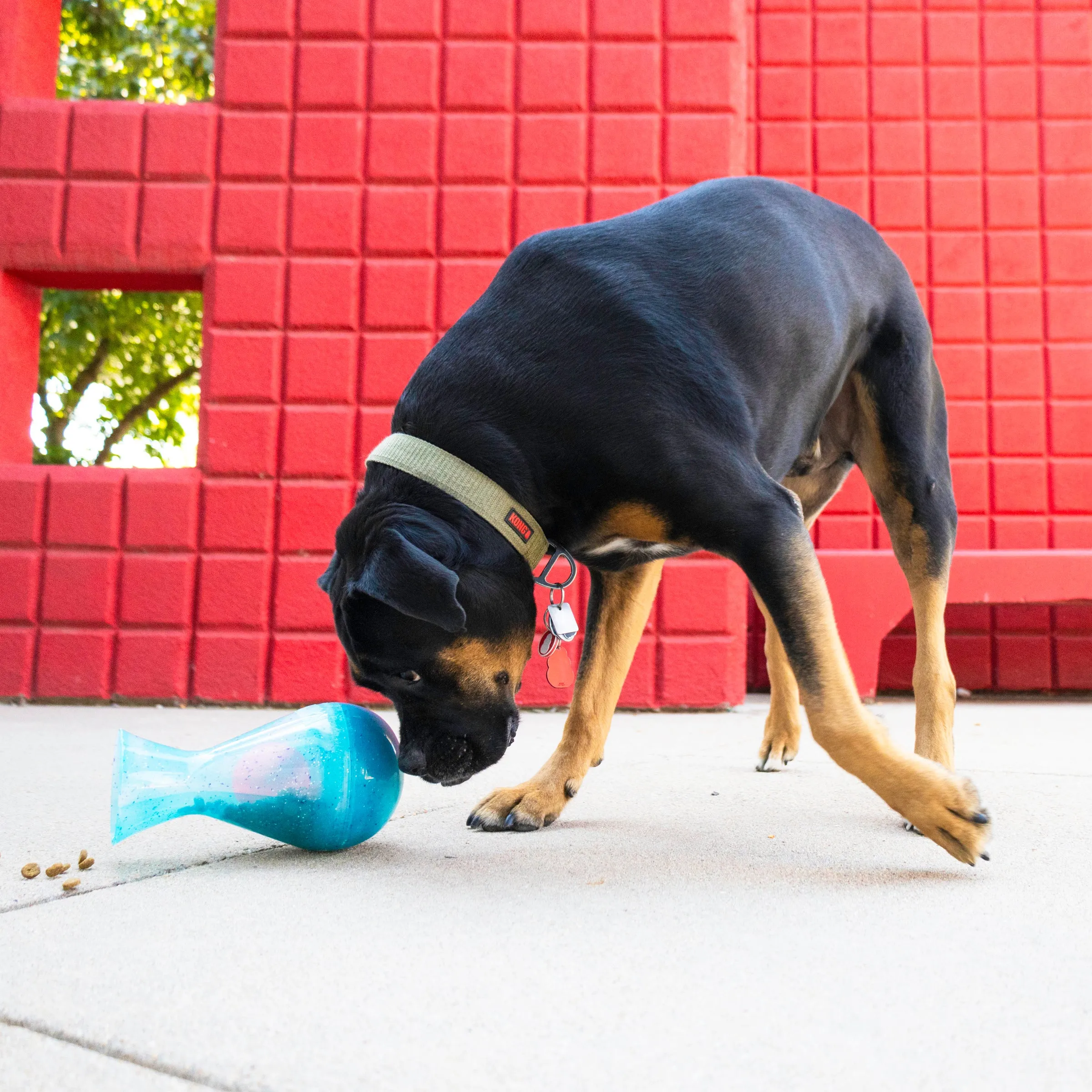 Kong - Rewards Tipsy - Treat Dispensing Toy