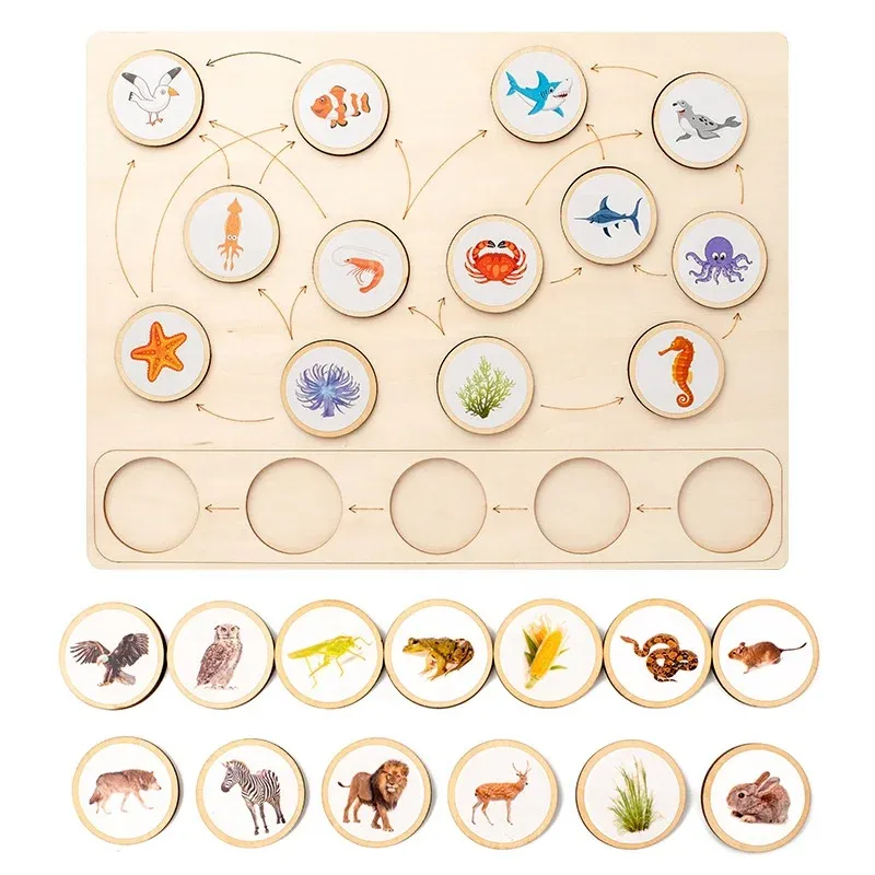 Montessori Animal Ecological Food Chain Cognition Board