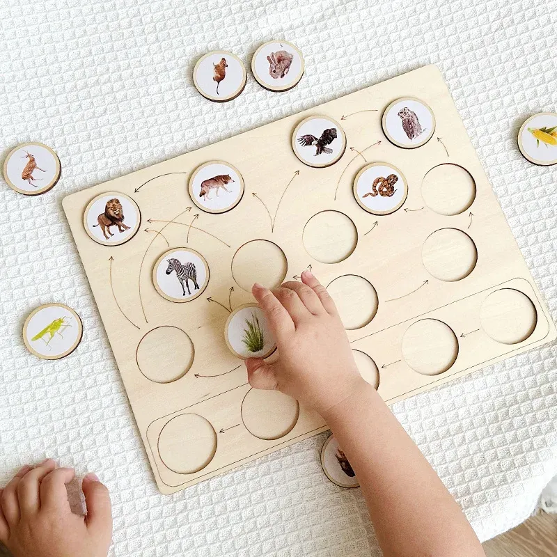 Montessori Animal Ecological Food Chain Cognition Board