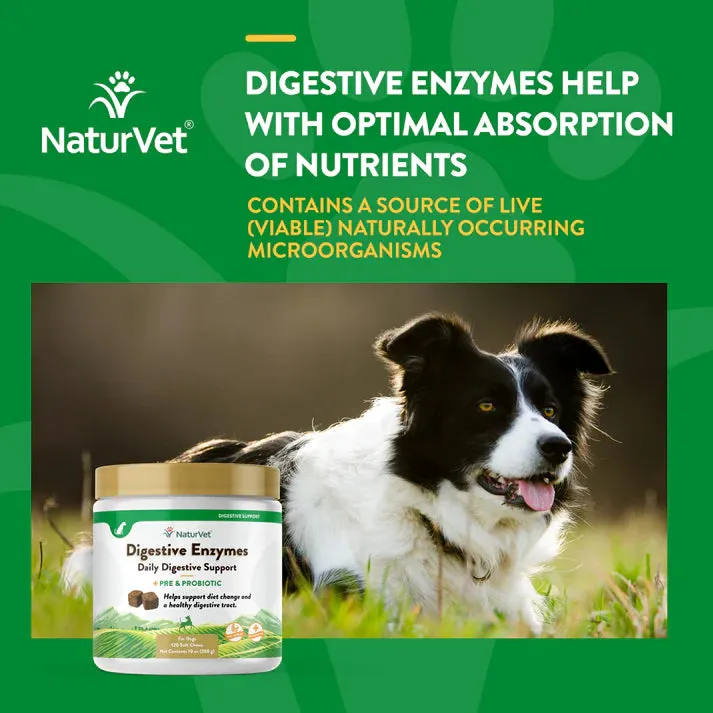 Naturvet Digestive Enzymes plus Pre & Probiotic for Dogs (soft chews)