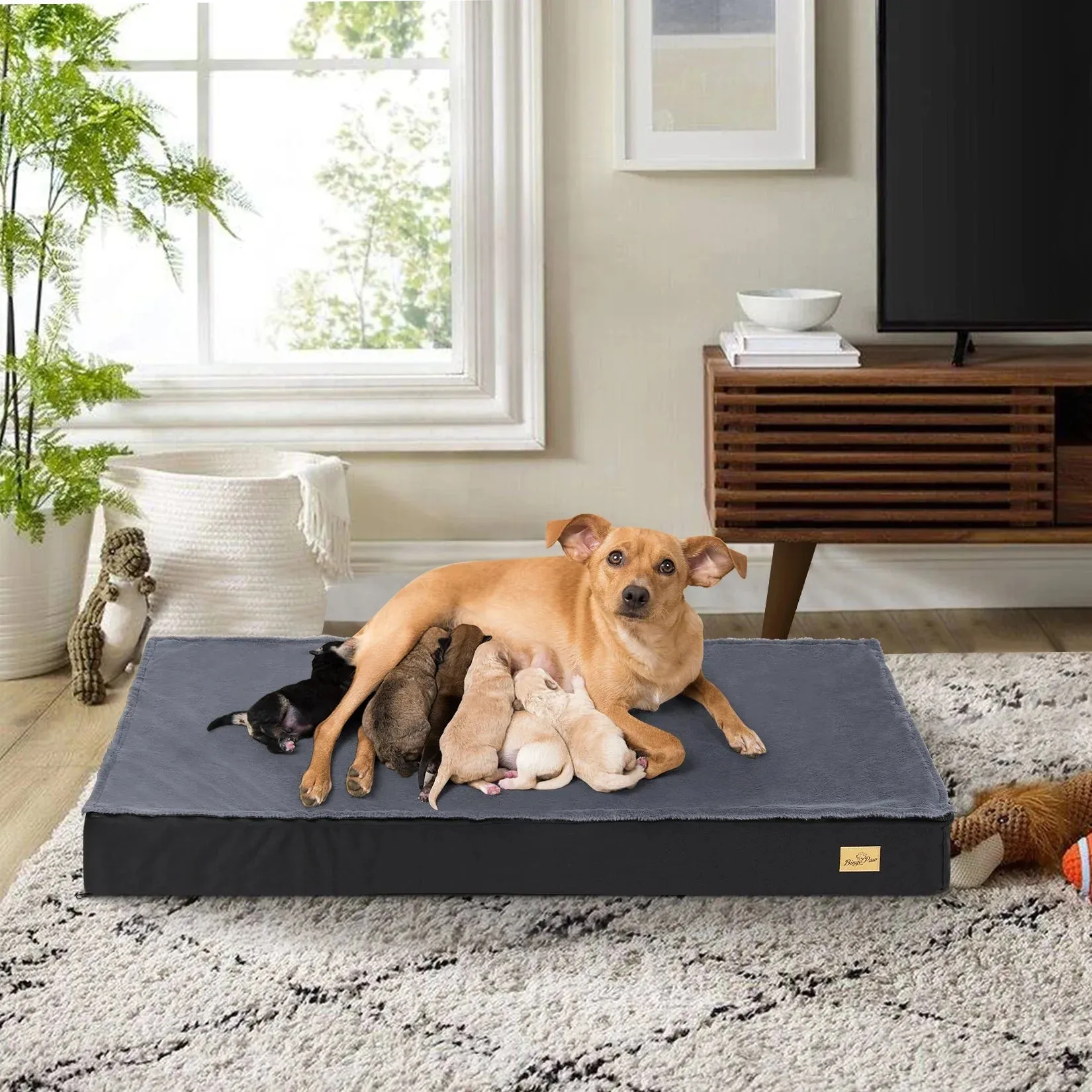 Orthopedic Waterproof Dog Bed for Medium to Large Dogs with Non-Slip Base