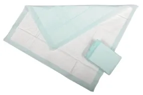 Protection Plus Polymer-Filled Underpads, 23" X 36", Case of 150