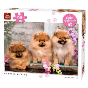 Puppies Posing Jigsaw Puzzle 99 Pieces